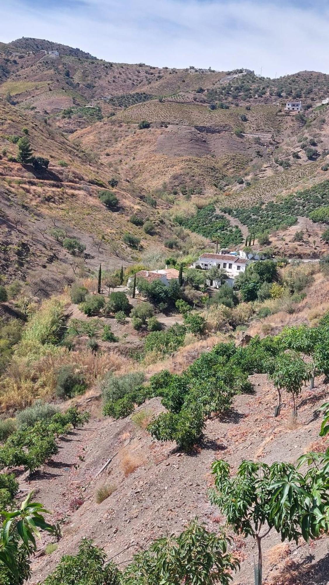 Borge Cortijo Lagar De Luisa 게스트하우스 외부 사진