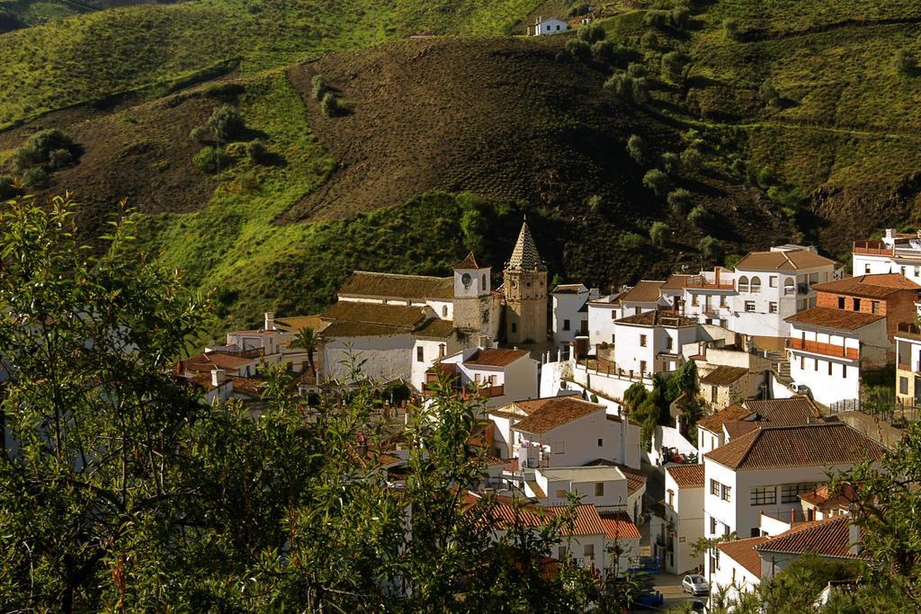 Borge Cortijo Lagar De Luisa 게스트하우스 외부 사진